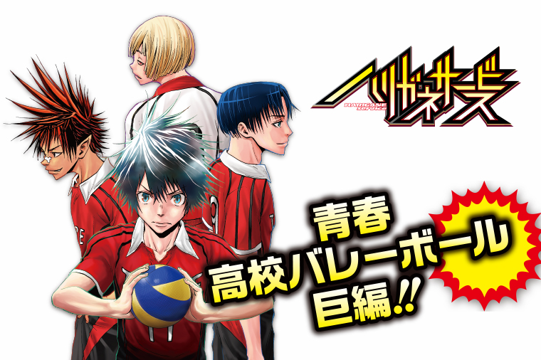 ハリガネサービス